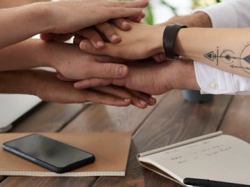 如何验证金融机构的金融牌照真伪？