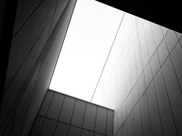 手把手教你绑定Shopify与PayPal，从零开始轻松上手！