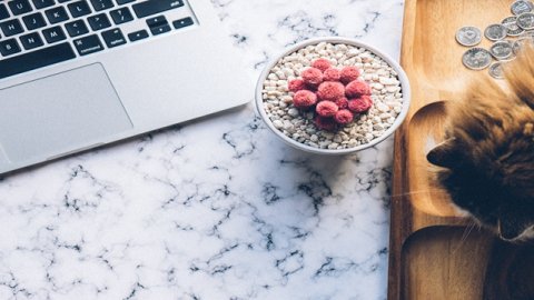 天猫国际服务商入驻条件与运营资质要求