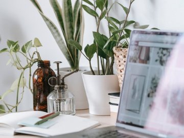 越南商标注册全攻略：费用与申请流程详解