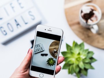 海牙体系保护期解析：期限与影响全知道