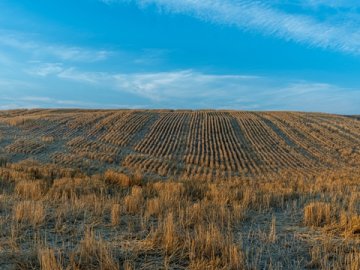 境外并购政策利好，助力资金流动与产业融合